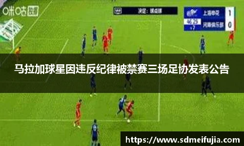 金年会金字招牌